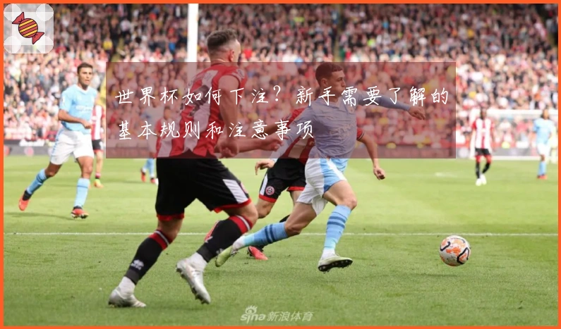 世界杯如何下注？新手需要了解的基本规则和注意事项