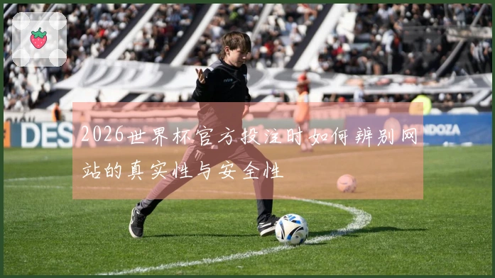 2026世界杯官方投注时如何辨别网站的真实性与安全性