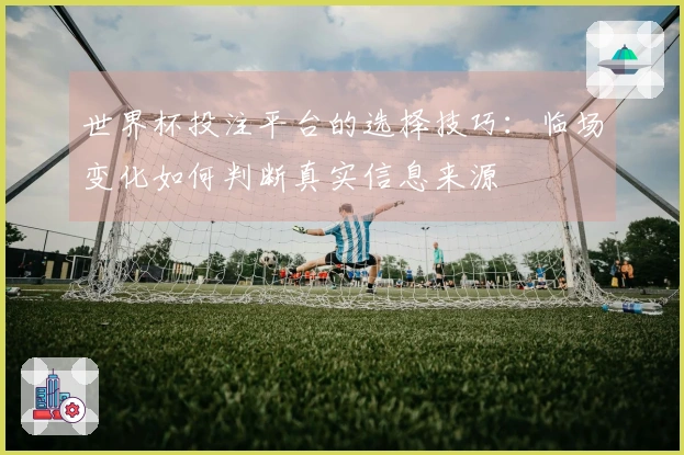 世界杯投注平台的选择技巧：临场变化如何判断真实信息来源