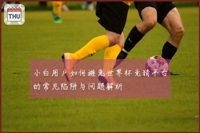 小白用户如何避免世界杯竞猜平台的常见陷阱与问题解析