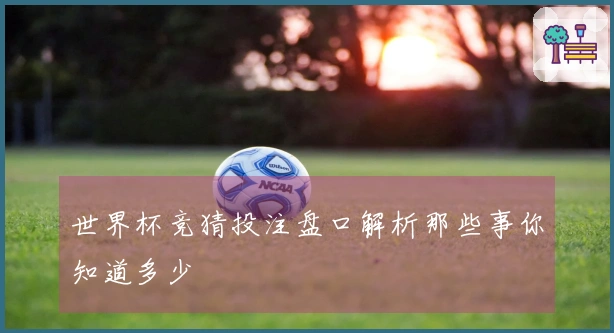 世界杯竞猜投注盘口解析那些事你知道多少