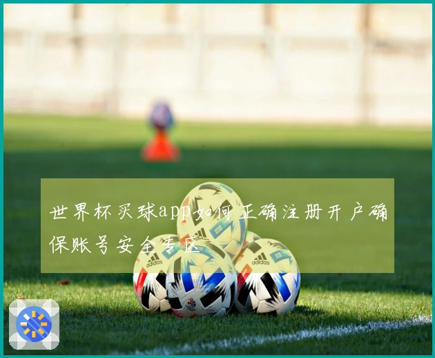 世界杯买球app如何正确注册开户确保账号安全专区
