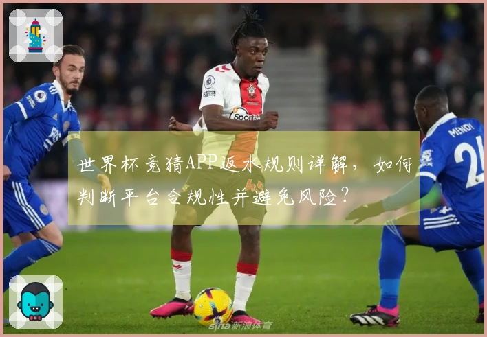 世界杯竞猜APP返水规则详解，如何判断平台合规性并避免风险？