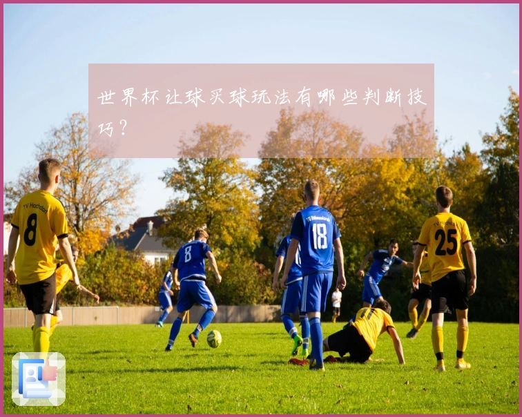 世界杯让球买球玩法有哪些判断技巧？