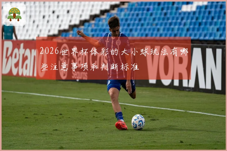 2026世界杯体彩的大小球玩法有哪些注意事项和判断标准