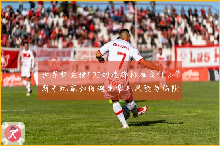 世界杯竞猜app的选择标准是什么？新手玩家如何避免常见风险与陷阱