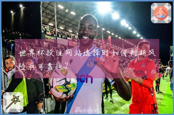 世界杯投注网站选择时如何判断风险和可靠性？