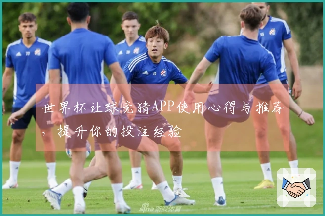 世界杯让球竞猜APP使用心得与推荐，提升你的投注经验