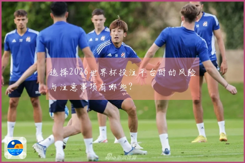 选择2026世界杯投注平台时的风险与注意事项有哪些？