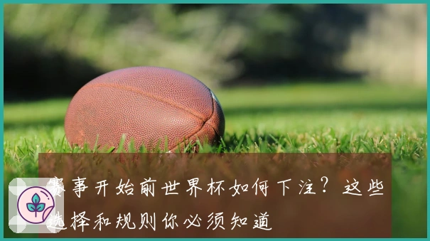 赛事开始前世界杯如何下注？这些选择和规则你必须知道