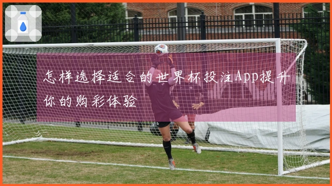 怎样选择适合的世界杯投注App提升你的购彩体验