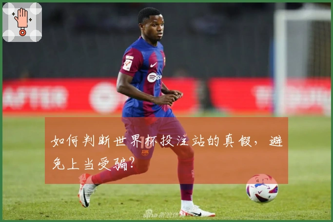如何判断世界杯投注站的真假，避免上当受骗？