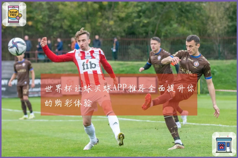 世界杯让球买球APP推荐全面提升你的购彩体验