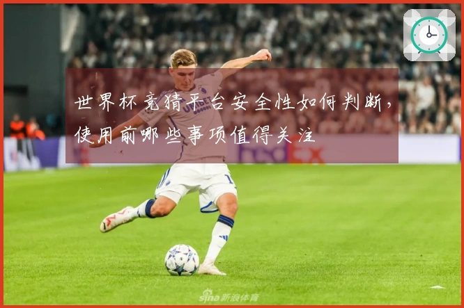 世界杯竞猜平台安全性如何判断，使用前哪些事项值得关注