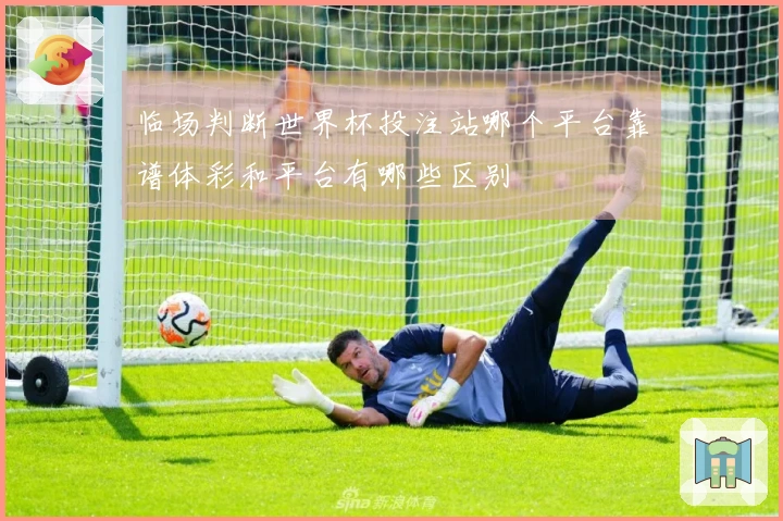 临场判断世界杯投注站哪个平台靠谱体彩和平台有哪些区别