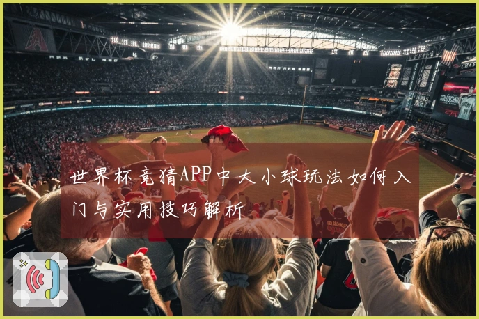 世界杯竞猜APP中大小球玩法如何入门与实用技巧解析