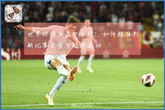 世界杯投注盘口分析：如何精准判断比赛走势与赔率变动
