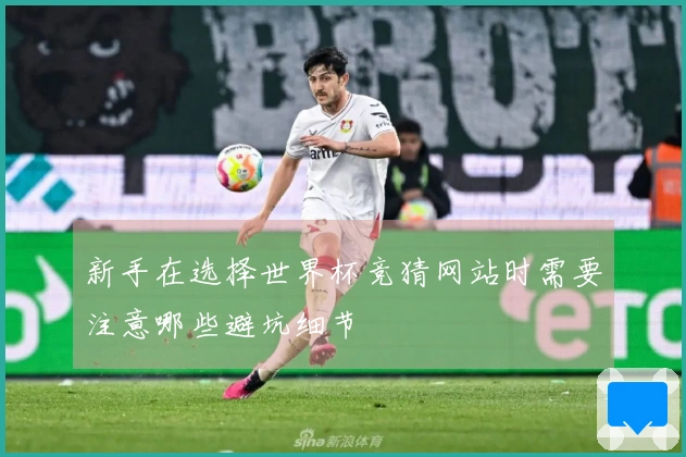 新手在选择世界杯竞猜网站时需要注意哪些避坑细节