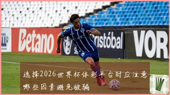 选择2026世界杯体彩平台时应注意哪些因素避免被骗