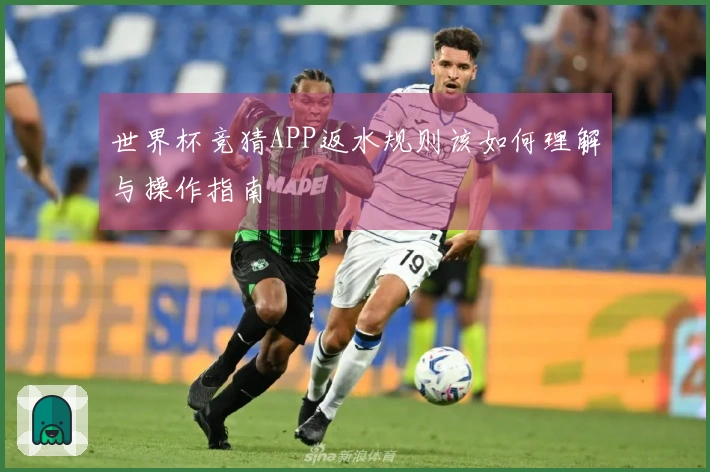 世界杯竞猜APP返水规则该如何理解与操作指南