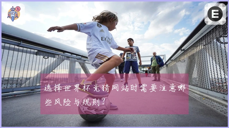 选择世界杯竞猜网站时需要注意哪些风险与规则？