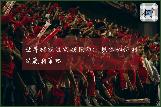 世界杯投注实战技巧：教你如何制定赢利策略
