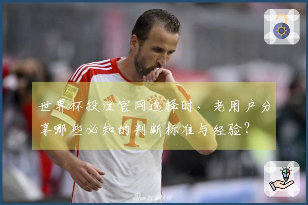 世界杯投注官网选择时，老用户分享哪些必知的判断标准与经验？