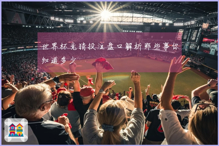 世界杯竞猜投注盘口解析那些事你知道多少
