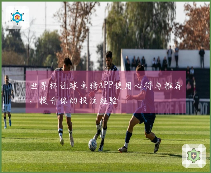 世界杯让球竞猜APP使用心得与推荐，提升你的投注经验