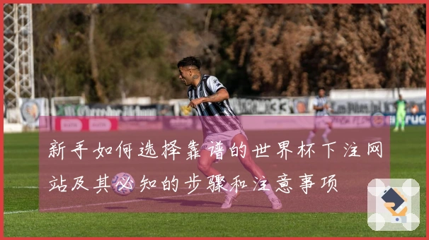 新手如何选择靠谱的世界杯下注网站及其必知的步骤和注意事项