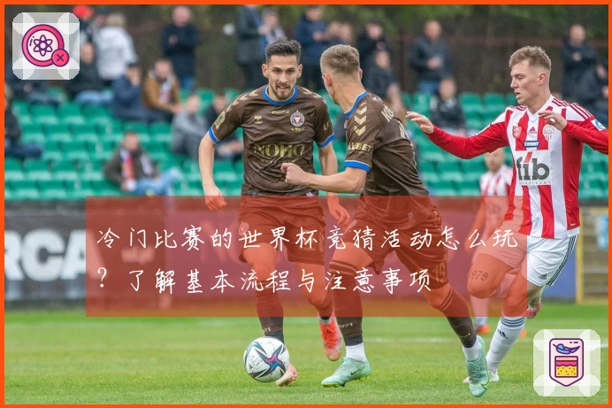 冷门比赛的世界杯竞猜活动怎么玩？了解基本流程与注意事项