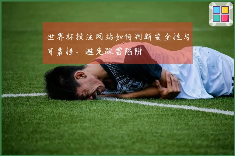 世界杯投注网站如何判断安全性与可靠性，避免踩雷陷阱