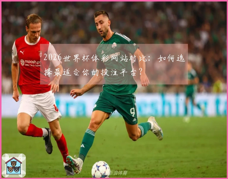 2026世界杯体彩网站对比：如何选择最适合你的投注平台？